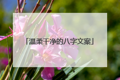 温柔干净的八字文案