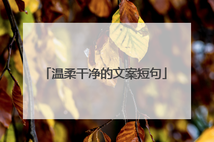 温柔干净的文案短句