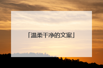 温柔干净的文案