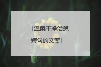 温柔干净治愈短句的文案