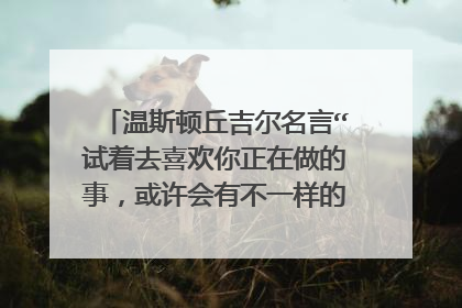 温斯顿丘吉尔名言“试着去喜欢你正在做的事,或许会有不一样的感受”的英文翻译