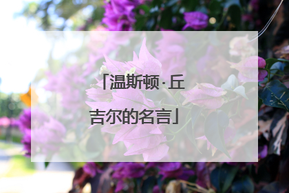 温斯顿·丘吉尔的名言