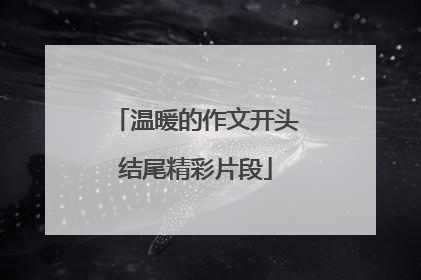 温暖的作文开头结尾精彩片段