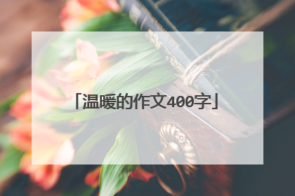 温暖的作文400字