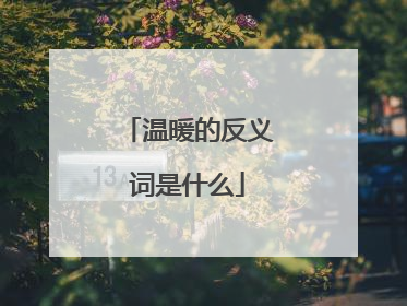 温暖的反义词是什么