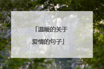 温暖的关于爱情的句子