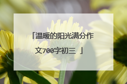 温暖的阳光满分作文700字初三​