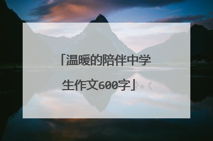 温暖的陪伴中学生作文600字