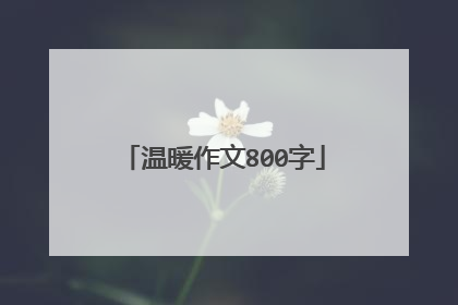 温暖作文800字