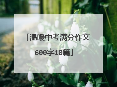 温暖中考满分作文600字10篇