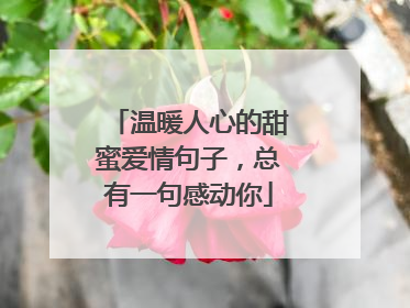 温暖人心的甜蜜爱情句子，总有一句感动你