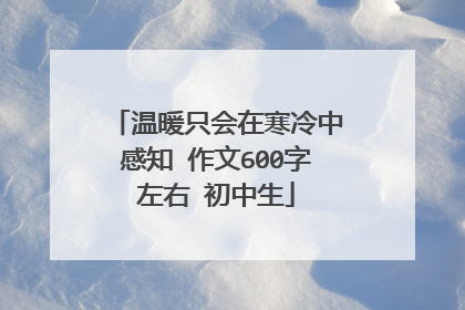 温暖只会在寒冷中感知 作文600字左右 初中生