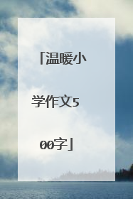 温暖小学作文500字