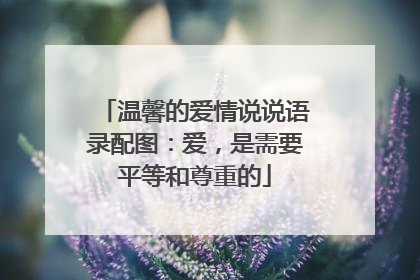 温馨的爱情说说语录配图：爱，是需要平等和尊重的