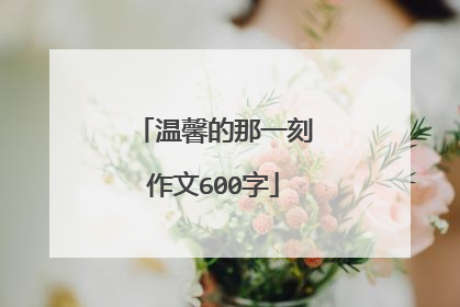 温馨的那一刻作文600字