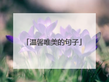 温馨唯美的句子