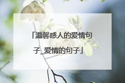 温馨感人的爱情句子_爱情的句子