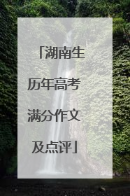 湖南生历年高考满分作文及点评
