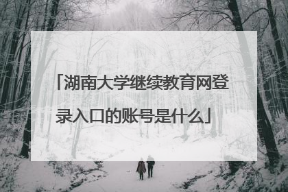 湖南大学继续教育网登录入口的账号是什么