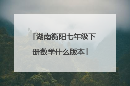 湖南衡阳七年级下册数学什么版本