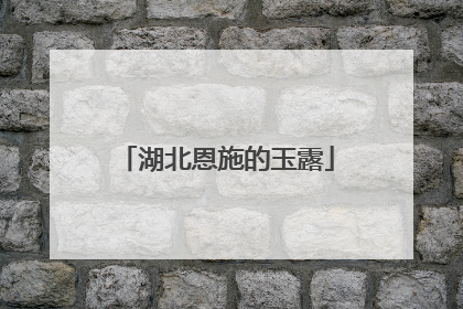 湖北恩施的玉露