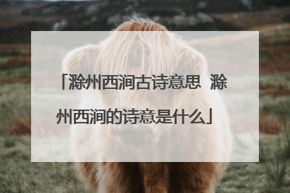 滁州西涧古诗意思 滁州西涧的诗意是什么
