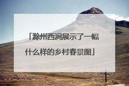 滁州西涧展示了一幅什么样的乡村春景图