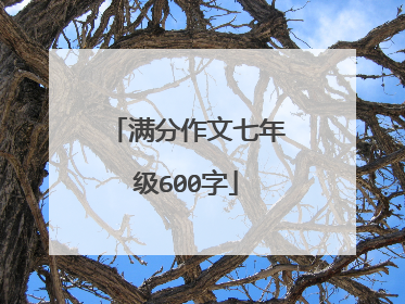 满分作文七年级600字