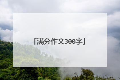 满分作文300字