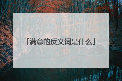 满意的反义词是什么