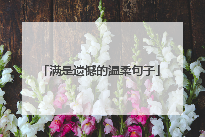 满是遗憾的温柔句子