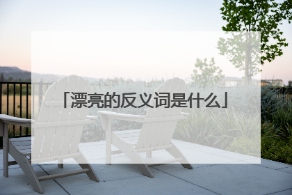 漂亮的反义词是什么