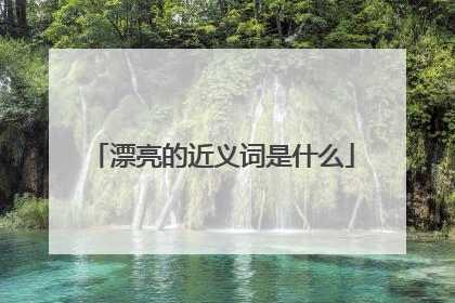 漂亮的近义词是什么