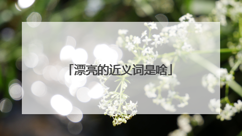 漂亮的近义词是啥