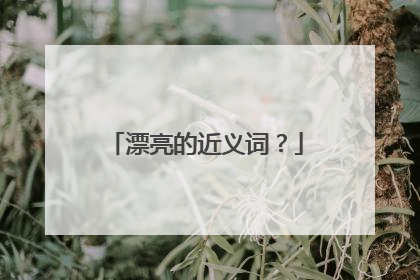 漂亮的近义词?