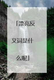 漂亮反义词是什么呢