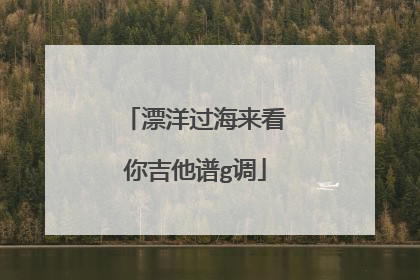 漂洋过海来看你吉他谱g调