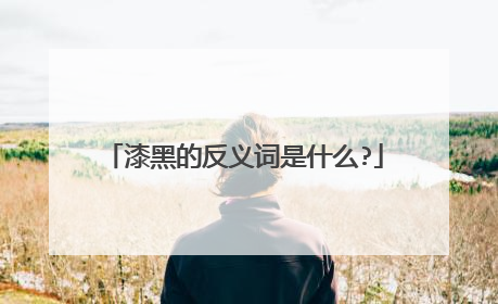 漆黑的反义词是什么?