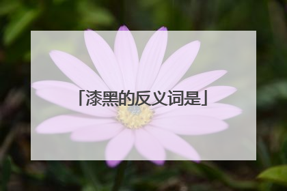 漆黑的反义词是