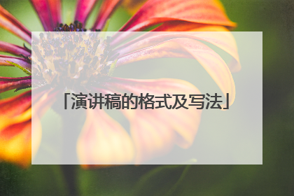 演讲稿的格式及写法