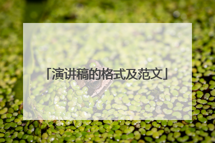演讲稿的格式及范文