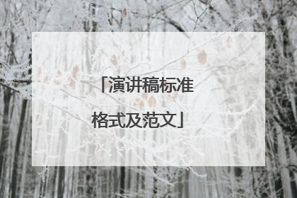 演讲稿标准格式及范文