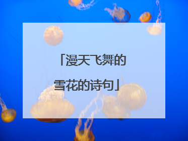 漫天飞舞的雪花的诗句