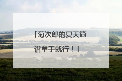 菊次郎的夏天简谱单手就行！