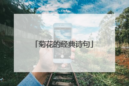 菊花的经典诗句