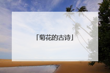 菊花的古诗