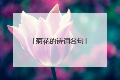 菊花的诗词名句