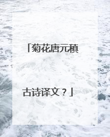 菊花唐元稹古诗译文?