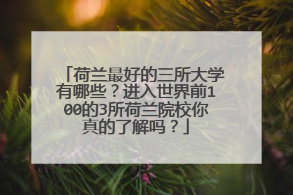 荷兰最好的三所大学有哪些?进入世界前100的3所荷兰院校你真的了解吗?