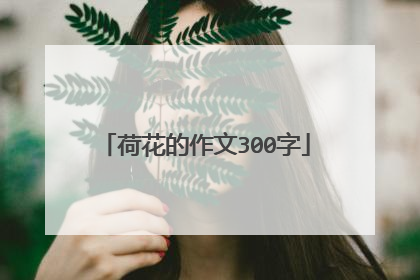 荷花的作文300字